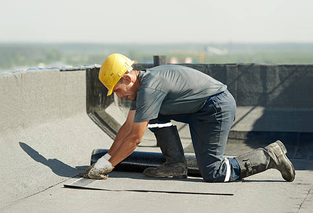 Best Specialized Insulation Services in Bolivar, TN